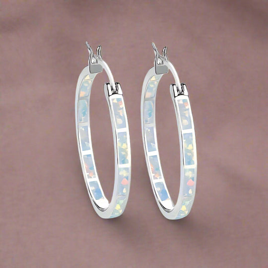 Elegant  Silver Hoop Earrings