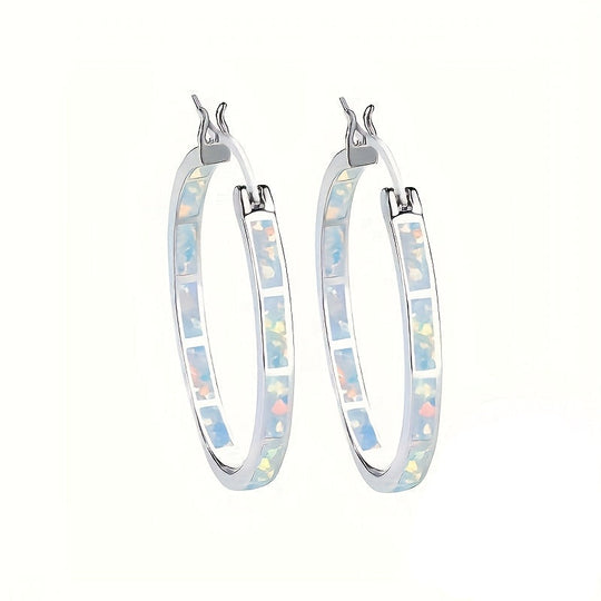 Elegant  Silver Hoop Earrings